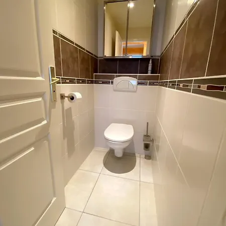 Aux Pieds Des Pistes 4/6 Personnes *